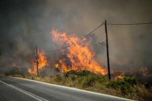 Φωτιά σε δασική έκταση στην Εφύρα Ηλείας κινητοποιεί τις δυνάμεις πυρόσβεσης