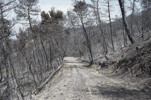 Επιχείρηση για τον εντοπισμό Γερμανού τουρίστα στα Χανιά