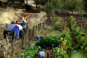 Αγρότες της Ευρώπης Υπό Πίεση Δίχως Δίκαιη Στήριξη για Μικρές Επιχειρήσεις