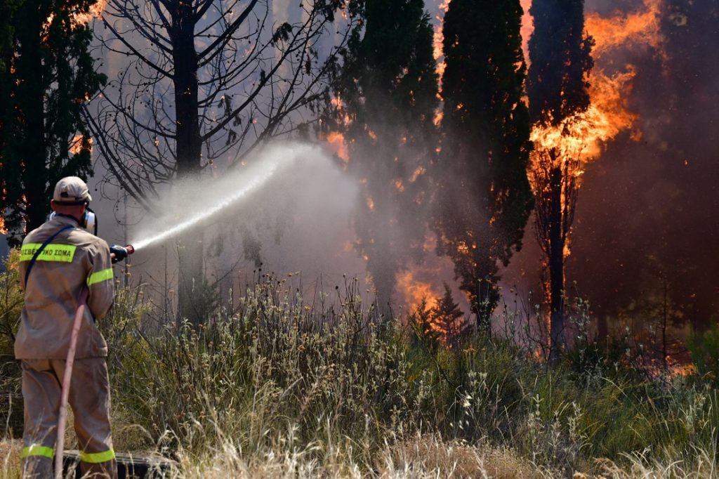 Φωτιά σε δασική περιοχή στο Μελενικίτσι Σερρών με μεγάλη κινητοποίηση πυροσβεστικών δυνάμεων